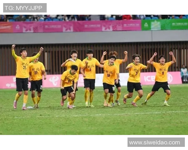 武汉足球队逆袭全国锦标赛的辉煌历程与背后故事揭秘